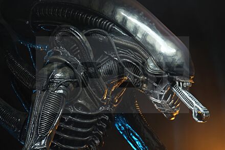 Alien Big Chap 1/4 Af Rerun