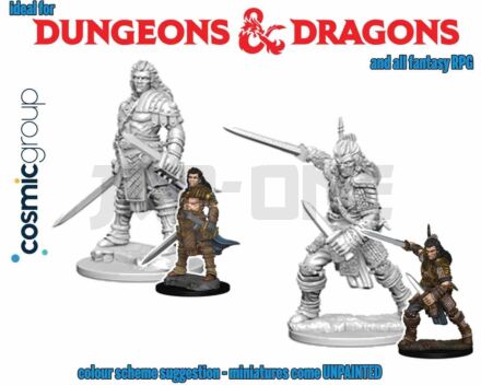 Pathfinder Deep Cut Unpainted Miniatures - Male Fighter