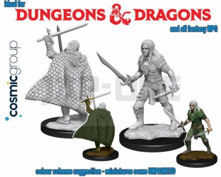 Pathfinder Deep Cut Unpainted Miniatures - Elf Male Fighter 3