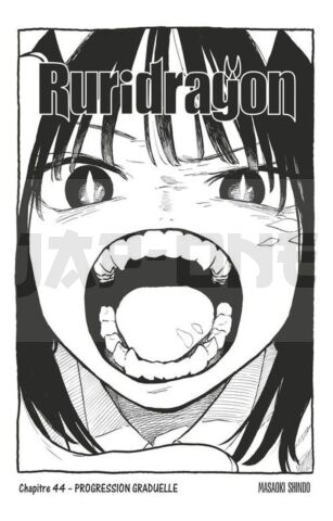 RURIDRAGON - TOME 05