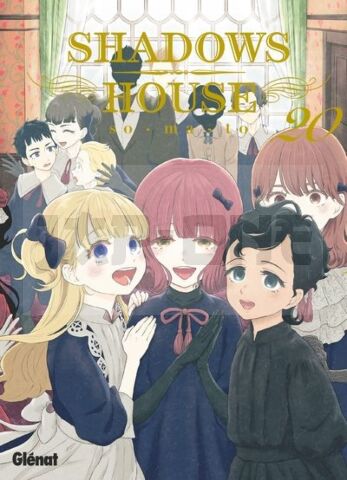 SHADOWS HOUSE - TOME 20