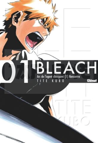 BLEACH DELUXE - TOME 01