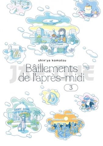 BAILLEMENTS DE L'APRES-MIDI T.3
