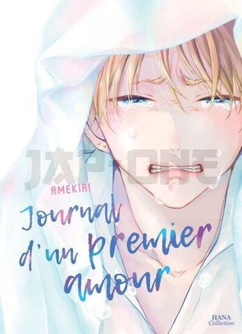 JOURNAL D'UN PREMIER AMOUR