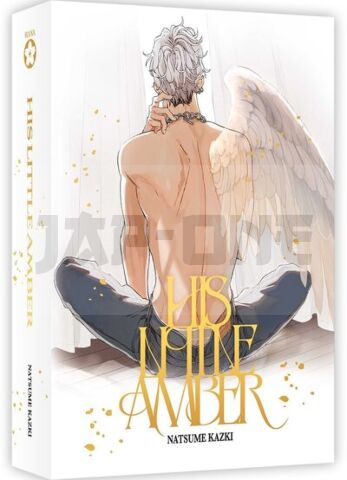 HIS LITTLE AMBER - BOX COLLECTOR (TOMES 1 ET 2)