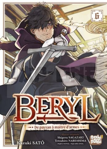 BERYL : DE PAYSAN À MAÎTRE D'ARMES T06