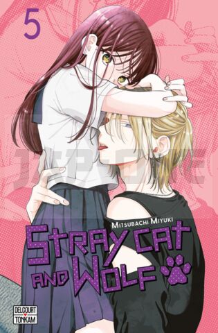 STRAY CAT AND WOLF T05 - VOL05