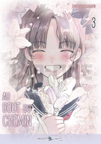 AU BOUT DU CHEMIN T03 - VOL03