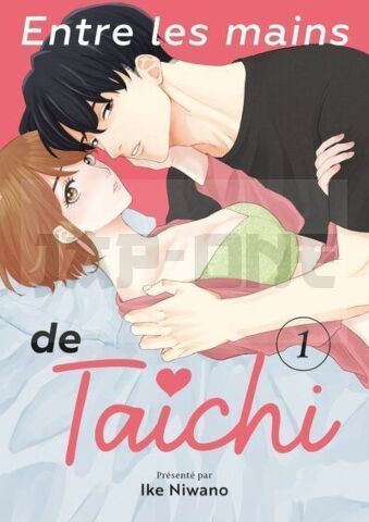 ENTRE LES MAINS DE TAICHI - TOME 01