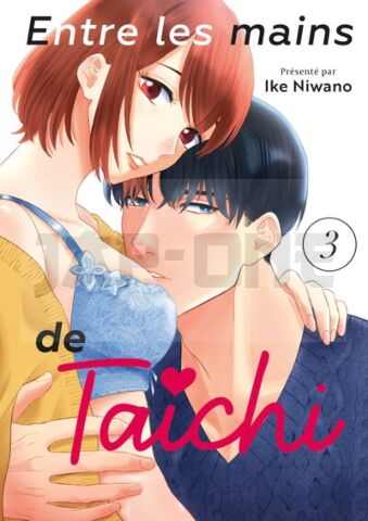 ENTRE LES MAINS DE TAICHI - TOME 03