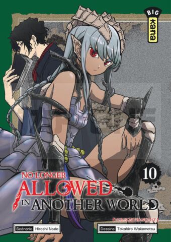 NO LONGER ALLOWED IN ANOTHER WORLD - TOME 10