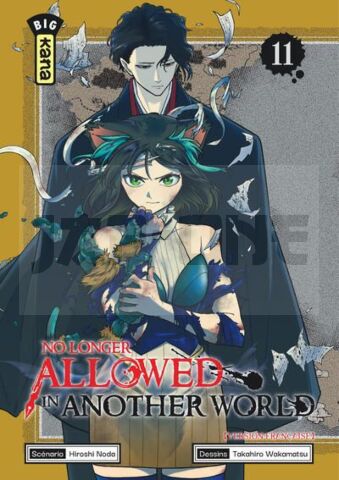 NO LONGER ALLOWED IN ANOTHER WORLD - TOME 11
