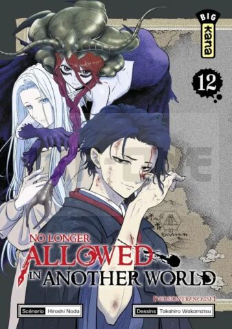 NO LONGER ALLOWED IN ANOTHER WORLD - TOME 12