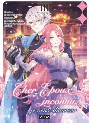 CHER EPOUX INCONNU, JE VEUX DIVORCER - TOME 3