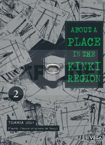 ABOUT A PLACE IN THE KINKI REGION - TOME 2