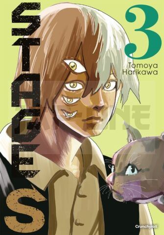 STAGE S - T03