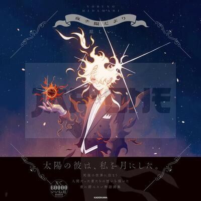 NIGHT SUN (ARTBOOK VO JAPONAIS)