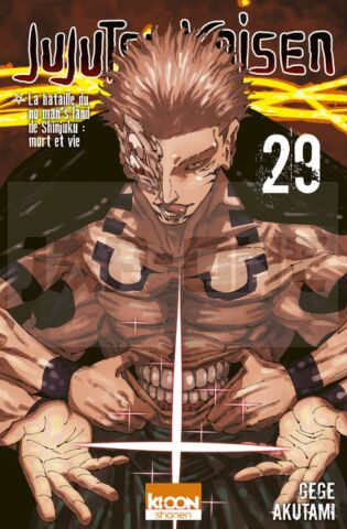 JUJUTSU KAISEN T29