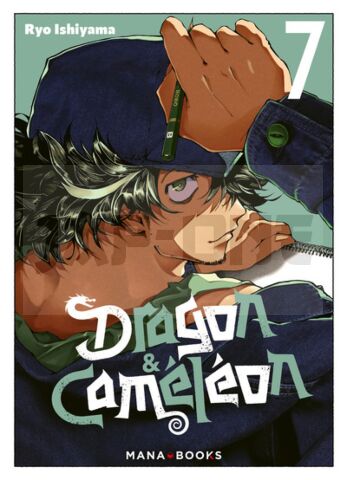 DRAGON & CAMELEON T07