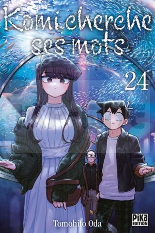 KOMI CHERCHE SES MOTS T24
