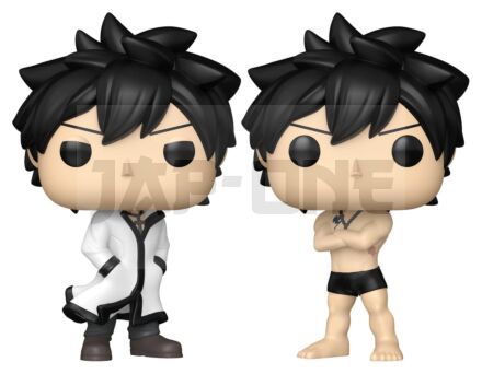 Fairy Tail 100 Year Quest assortiment POP! Animation Vinyl figurines Gray w/Chase 9 cm (6)