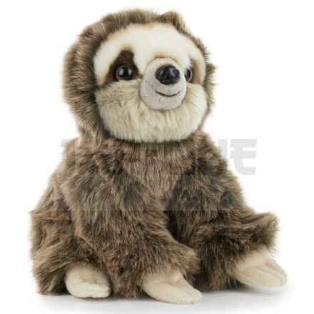 Realistic Animals Sloth Bear Peluche Toy 26Cm