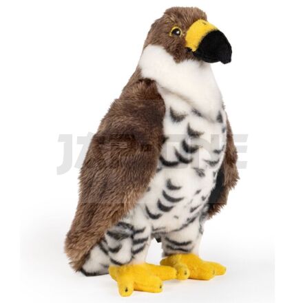 Realistic Animals Hawk Plüschfigur Toy 25Cm