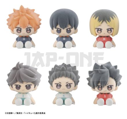 Haikyu!! Blind Box Présentoir Figurines Mini Nuippo 6 Cm (6)