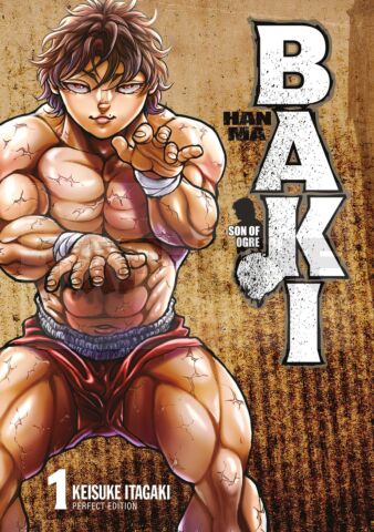 INTEGRALE HANMA BAKI PERFECT EDITION TOME 1 À TOME 12 + Goodies aléatoires offerts