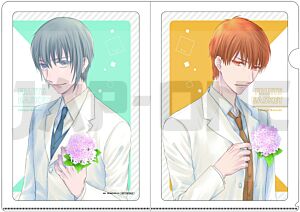 Fruits Basket A4 File Holder