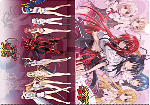 Highschool DXD A4 File Holder