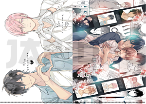 10 Count A4 File Holder