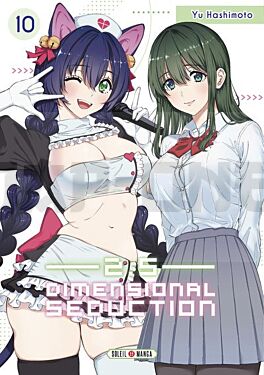 2-5-dimensional-seduction-t10-vol10_1