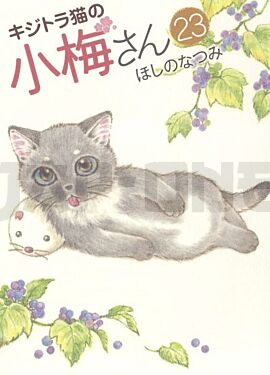 plum-un-amour-de-chat-t23_1