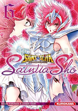 SAINT SEIYA - LES CHEVALIERS DU ZODIAQUE - SAINTIA SHO - TOME 6 - VOL06