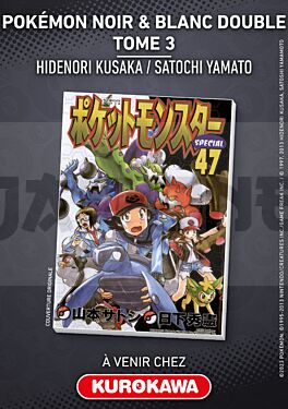 pokemon-noir-blanc-double-tome-3_1