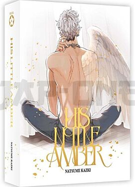 his-little-amber-box-collector-tomes-1-et-2_1