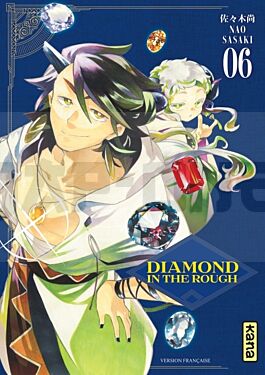 DIAMOND IN THE ROUGH - TOME 6