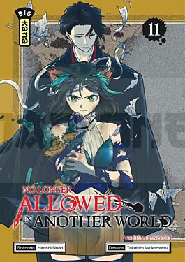 no-longer-allowed-in-another-world-tome-11_1
