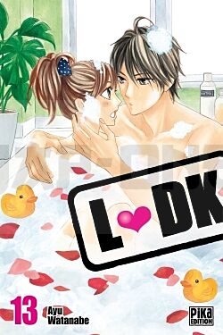LDK T13