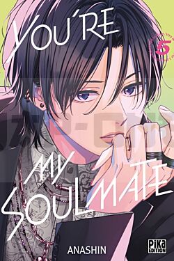 you-re-my-soulmate-t05_1