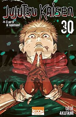 jujutsu-kaisen-t30_1