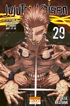 jujutsu-kaisen-t29_1