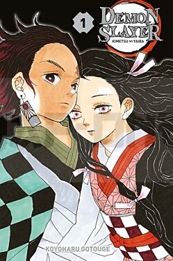 DEMON SLAYER T01 EDITION COLLECTOR