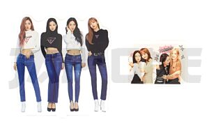 Cristal Acrílico - Blackpink (ver.8)