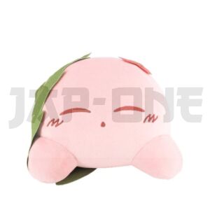 FIGPELNINKBKBYMOC15_1