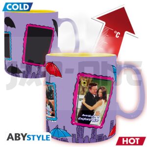 friends-mug-heat-change-460-ml-cadres-boite-carton-x2_1
