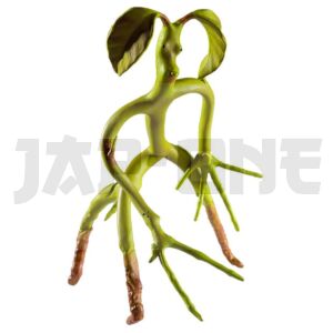 Fantastic Beasts Bowtruckle Figurine 18Cm