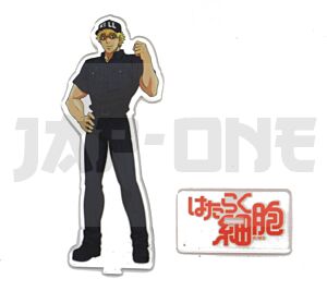 Acrylic Cristal Cells at Work! - Killer T Cell