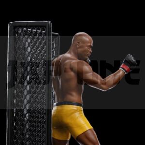 Ufc Figurine 1/10 Deluxe Art Scale Anderson "Spider" Silva - Signed Version 22 Cm